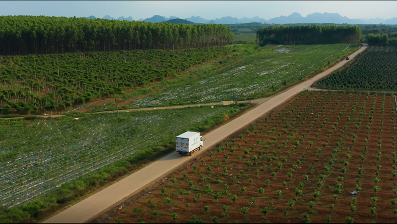 威耀供应链公司每天为南宁市远郊学校配送食材.png